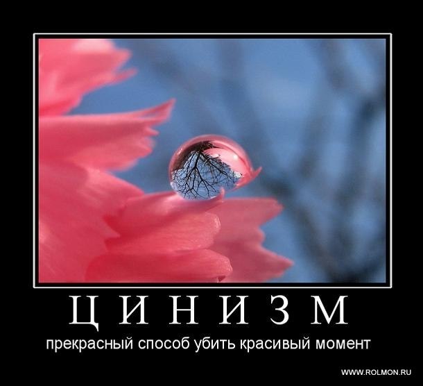 Дмитрий Зинцов фотография #20