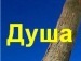 Альоша Бабійчук фотография #1