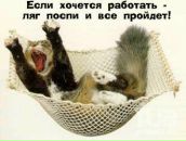 Фотография Бескоровайного Васи