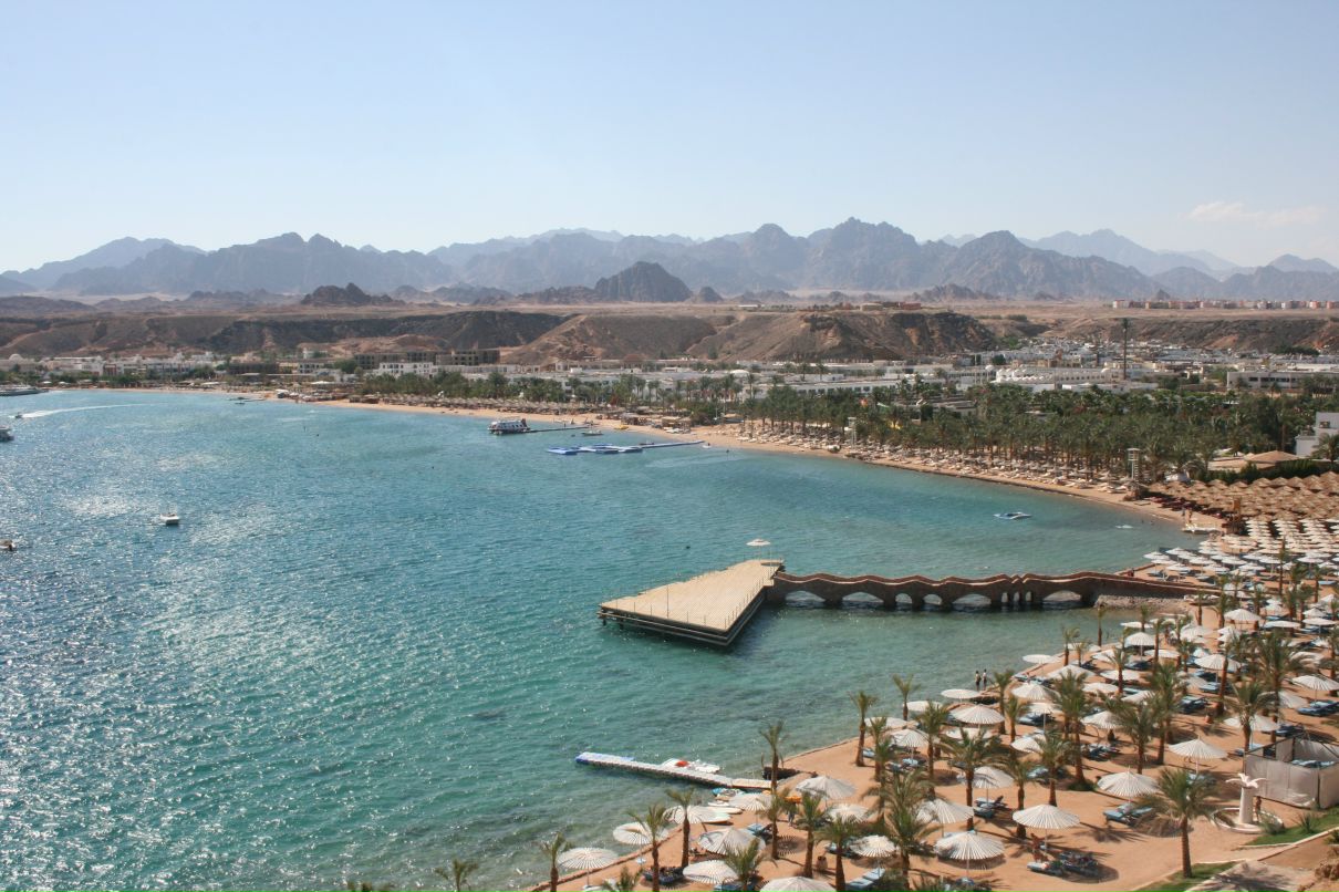 Илья Орлов фотография #31