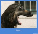 Фотография Дмитриевой Катерины