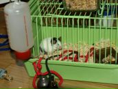 Віталік Талько фотография #38 (источник - https://vk.com/id93295017)