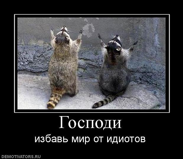 Володимир Швець фотография #4