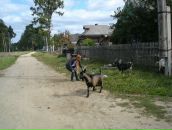 Игорь Kochenoff фотография #12 (источник - https://vk.com/id550900)