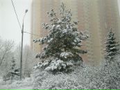 Eldar Asadullaev фотография #38 (источник - https://vk.com/id987359)