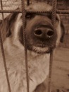 Іруся Левицька фотография #35 (источник - https://vk.com/id80680102)