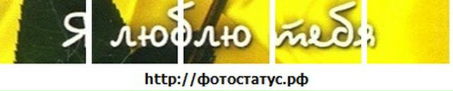 Тарас Яромій фотография #1