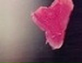 Софія Касумова фотография #39 (источник - https://vk.com/id79427577)