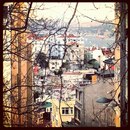 Yusuf Kasar фотография #25 (источник - https://vk.com/id124373421)