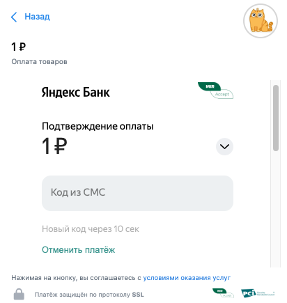 Payment window VK Pay