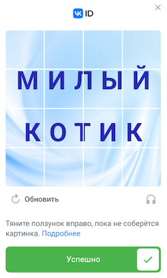 Appearance of captcha: captcha passed